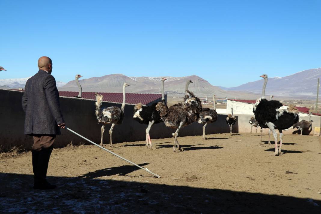 Bu yumurta tam 25 tavuk yumurtasına denk geliyor 5